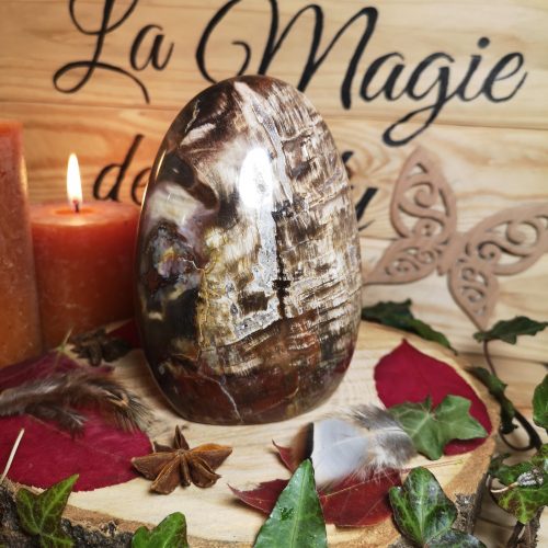 Bois Fossile en forme libre