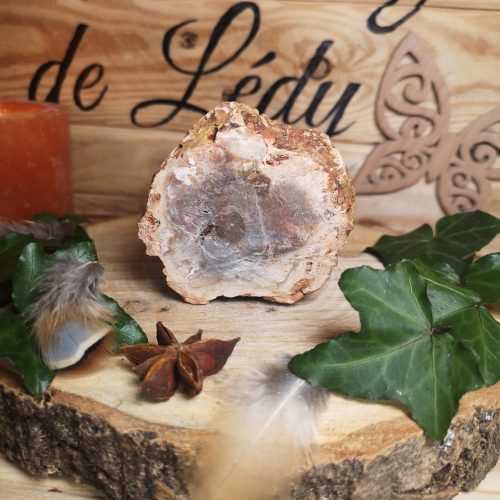 Bois Fossile brut