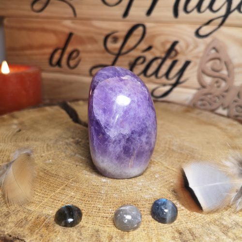 Améthyste Forme Libre