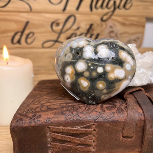 Coeur en Jaspe Orbiculaire