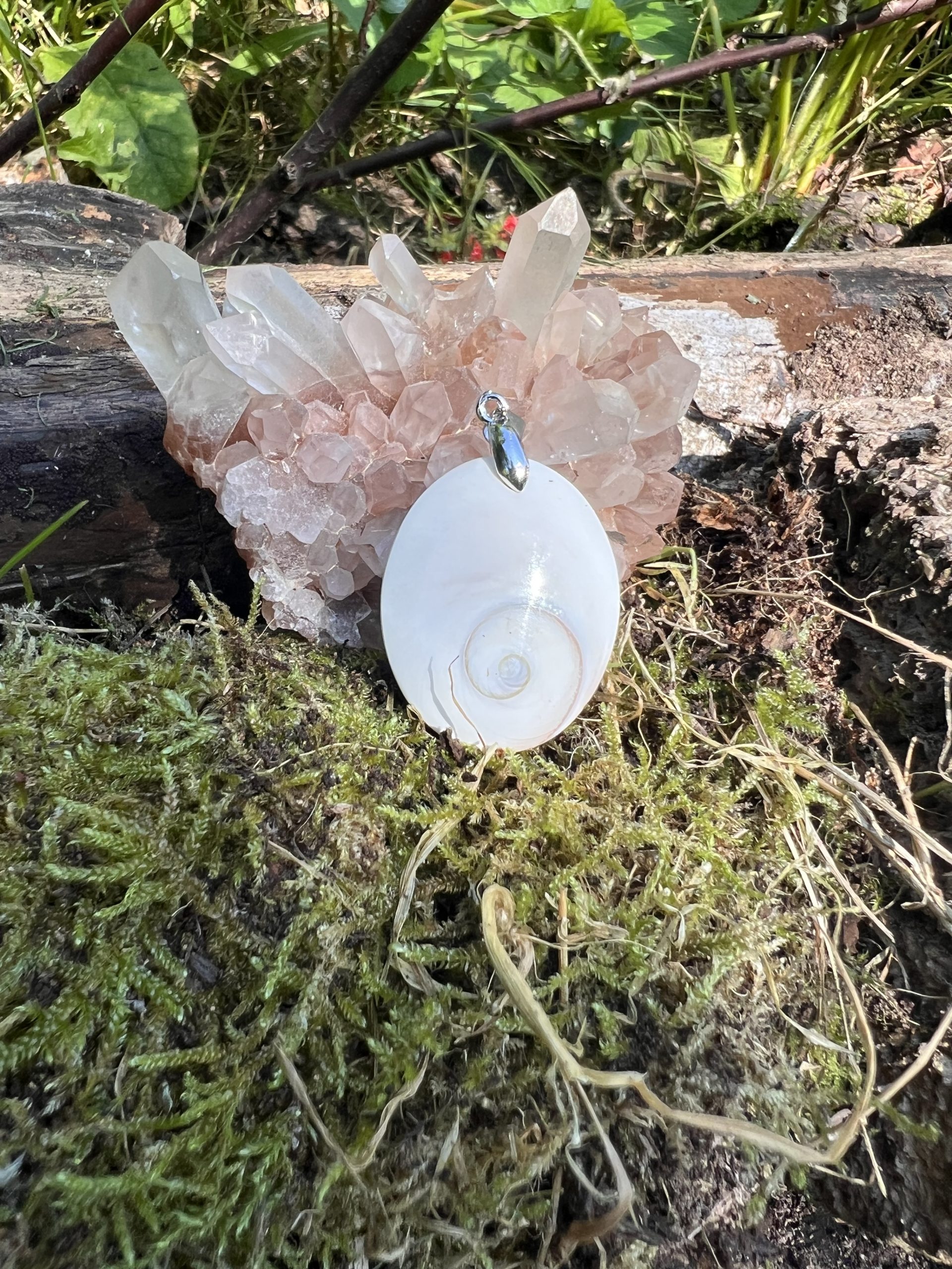 Pendentif Œil de Shiva Naturel – Spirale de Vie, Protection &Évolution