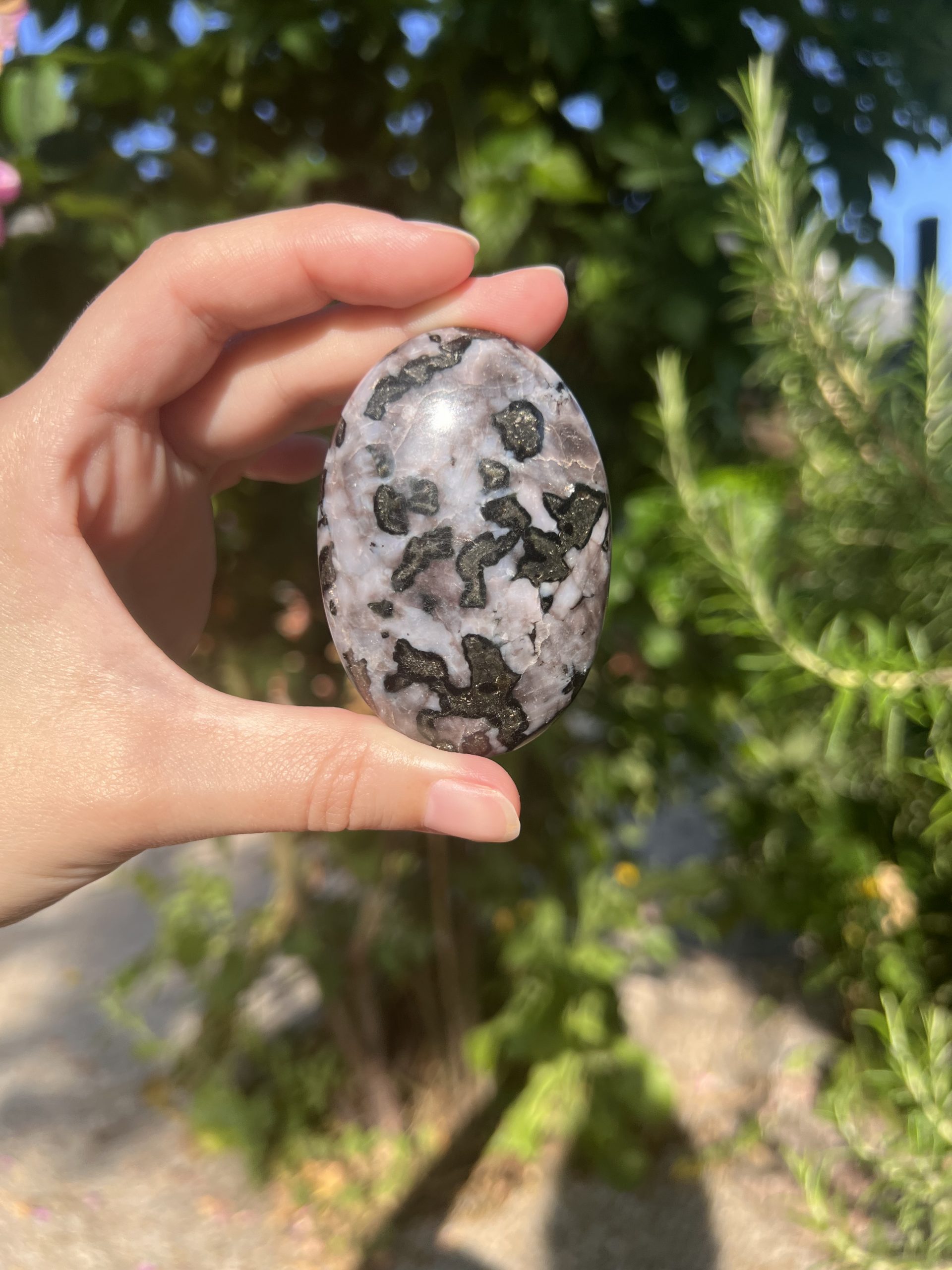 Galet en Gabbro – Pierre d’ancrage, protection et élan