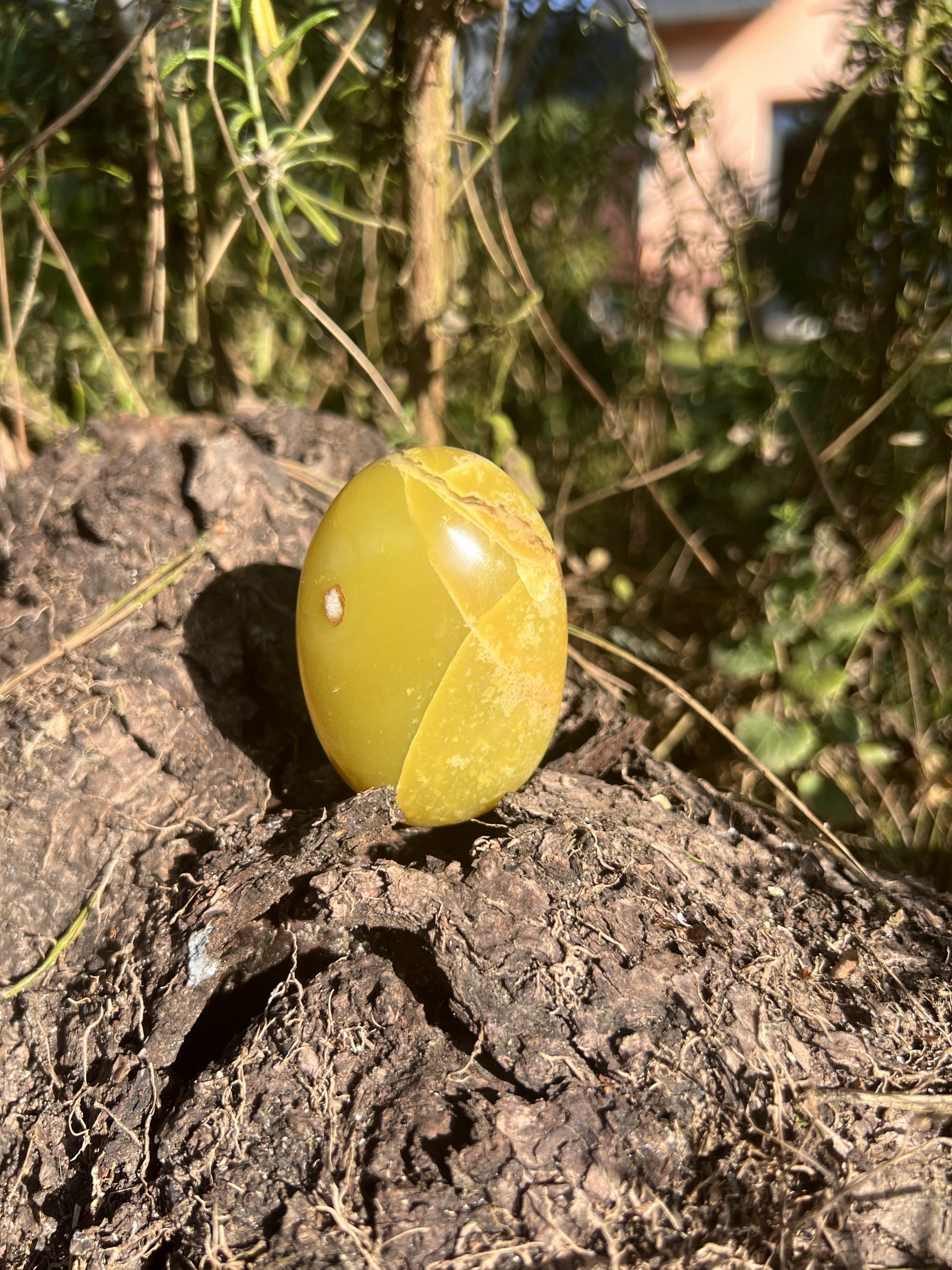 Galet en Opale Verte – Pierre de tendresse, baume au cœur et renouveau