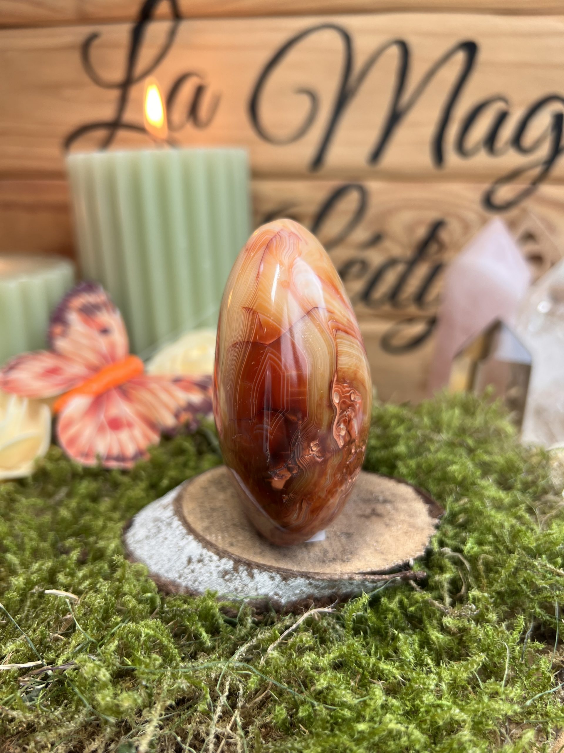 Forme libre en Cornaline - Vitalité , Création &Ancrage – Image 3