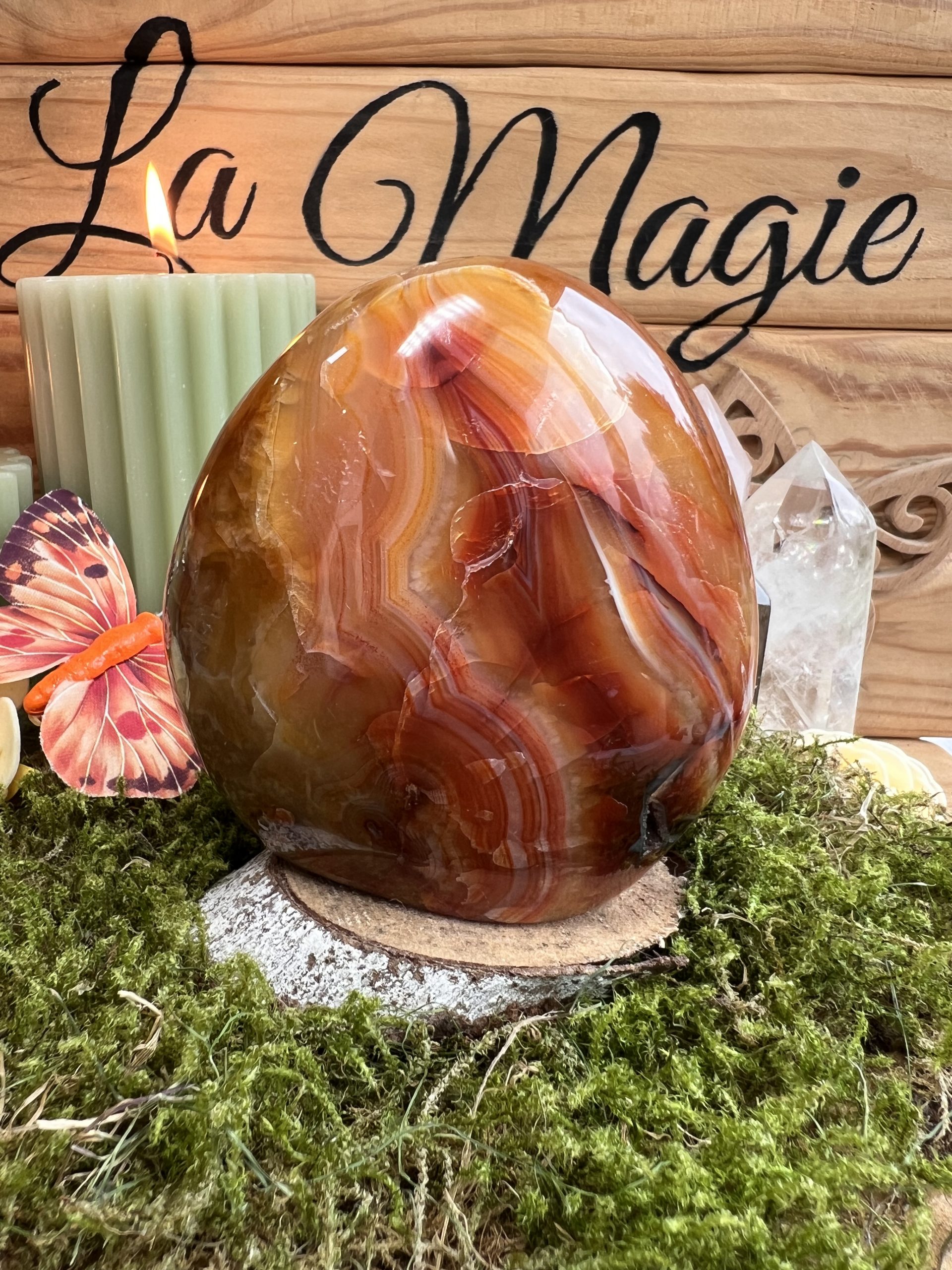 Forme libre en Cornaline - Vitalité , Création &Ancrage