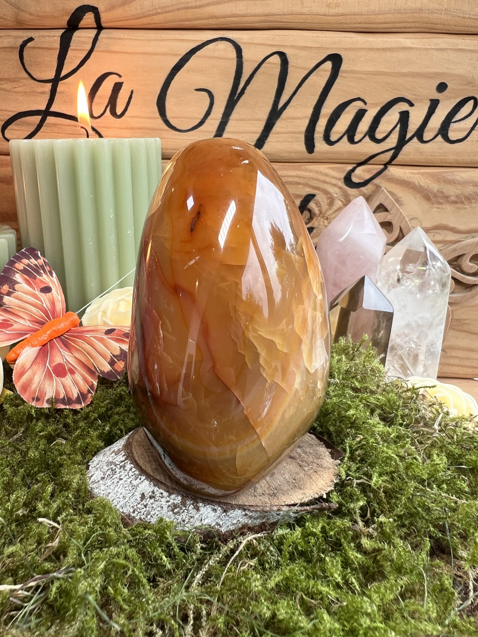 Forme libre en Cornaline - Vitalité , Création &Ancrage – Image 3