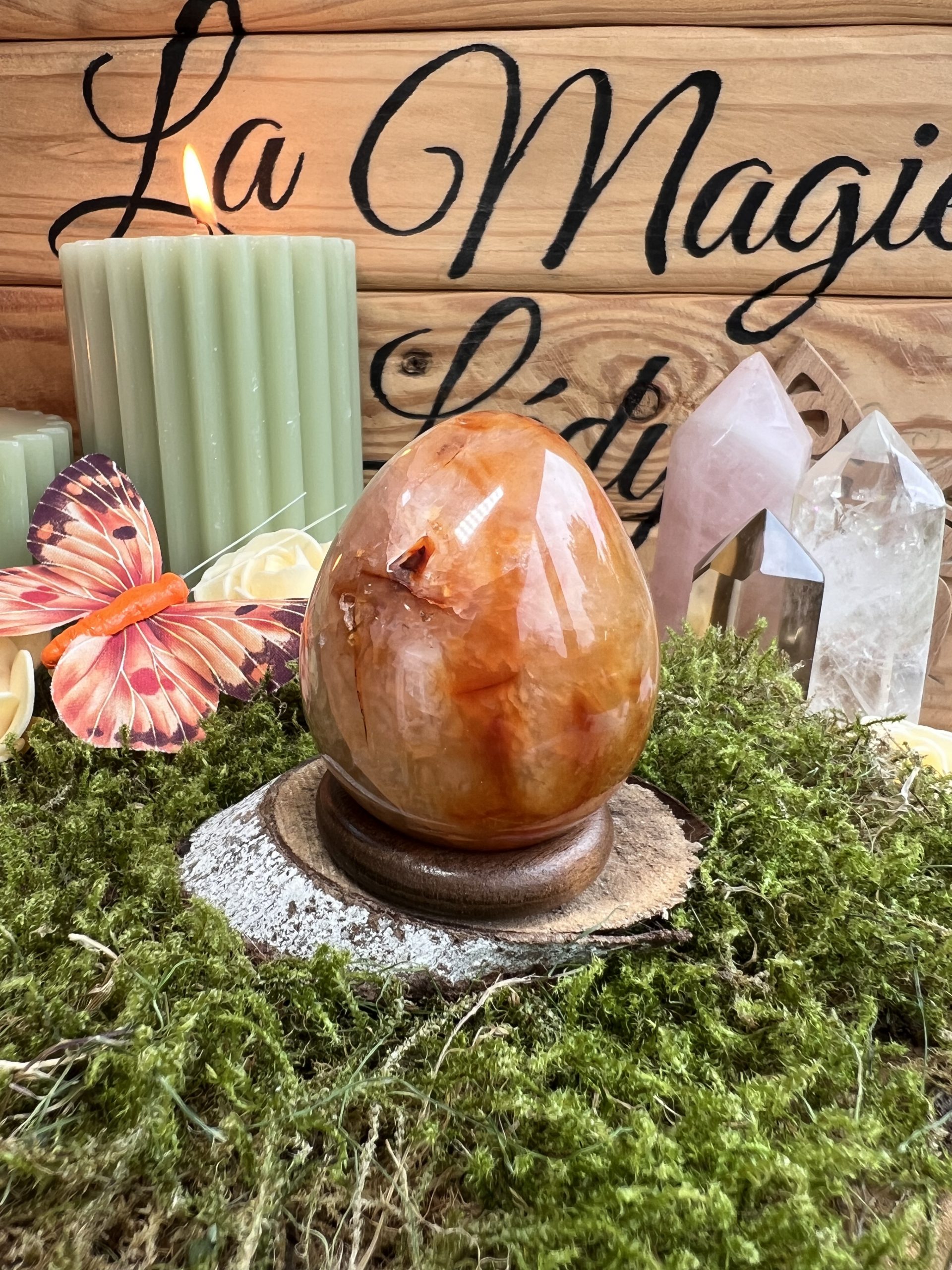 Œuf en Cornaline – Vitalité, Création & Ancrage